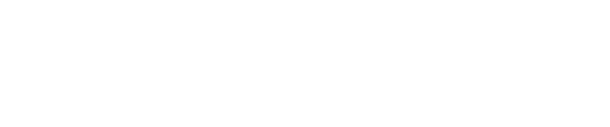AceFisc